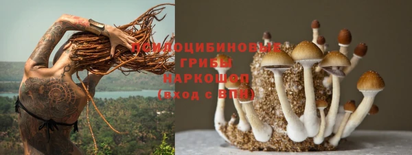спиды Бугульма