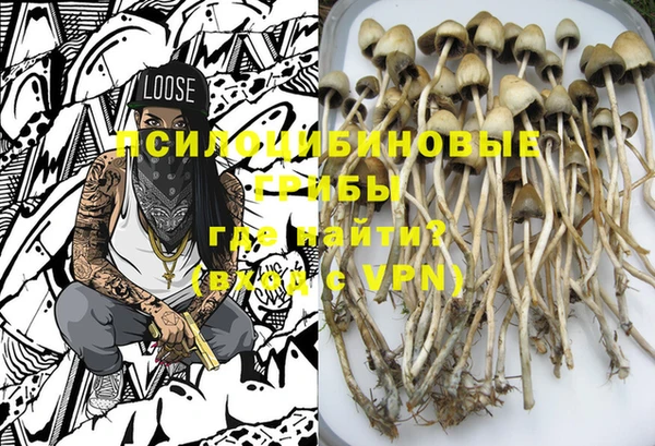 бошки Бородино