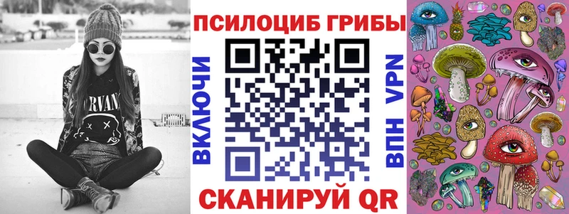 блэк спрут ССЫЛКА  купить наркоту  Северобайкальск  Псилоцибиновые грибы Psilocybe 